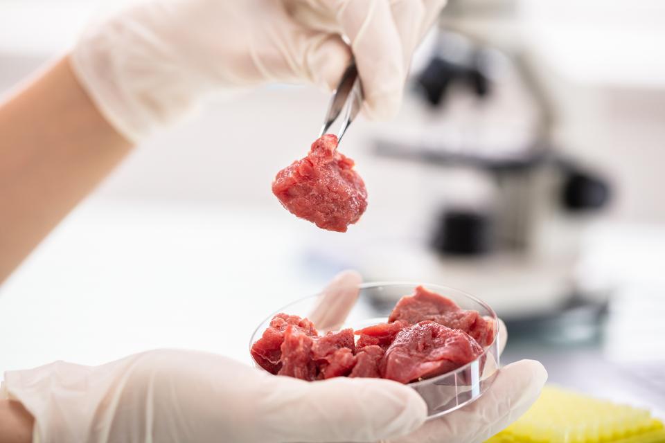 Первый в России образец культивируемого мяса создан в московской лаборатории