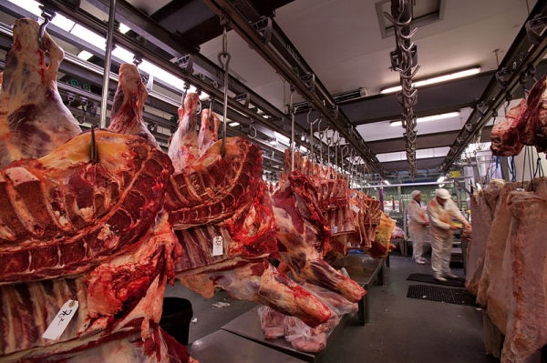 Ukrainian beef gets green light for export in Turkey