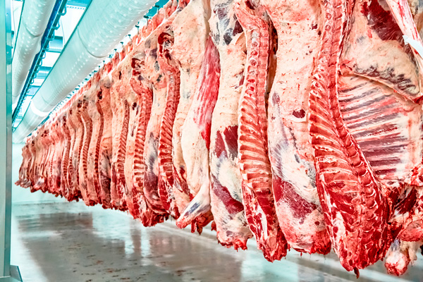 The country's Foreign Ministry took up the export of Mongolian meat