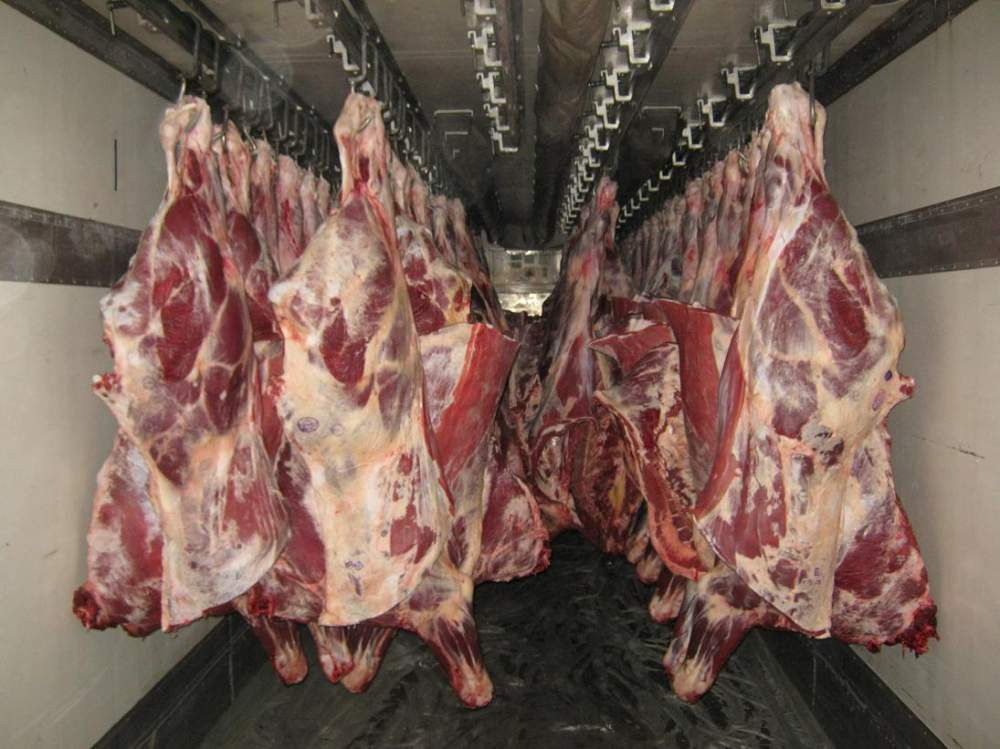 Производство мяса скота и птицы растет в Восточном Казахстане