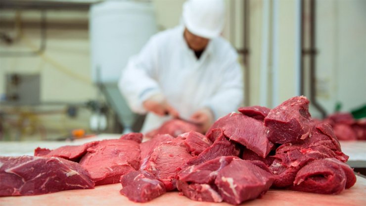 A new beef processing plant to built in Kazakhstan