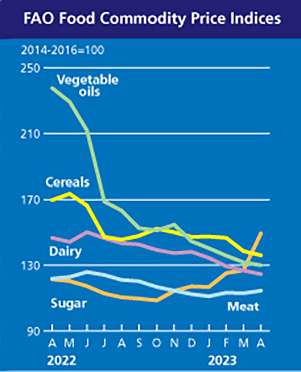 FAO Meat Price Index up