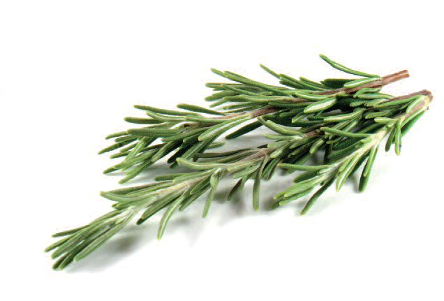 Стейк Минута