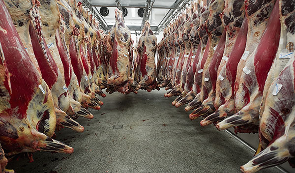 New beef processing plant to be built in the USA