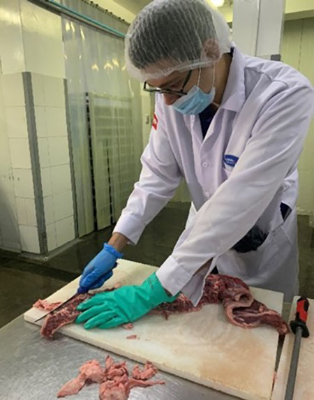 Trade Education and Training Spotlighted in South America