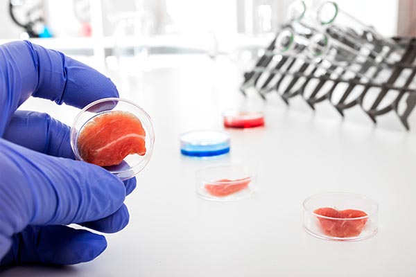 В Китае откроют первый экспериментальный завод по выработке клеточного мяса
